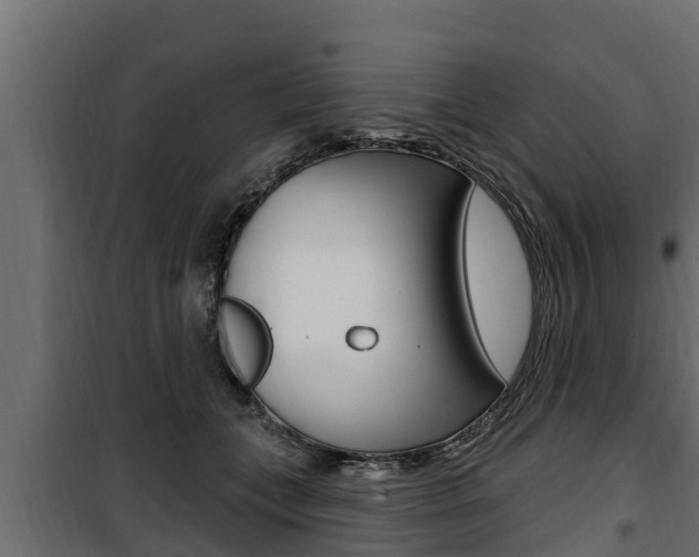 X0000100780559200806191019