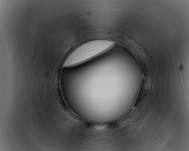 X0000100780560200806191019