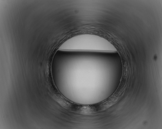 X0000100780562200806191019