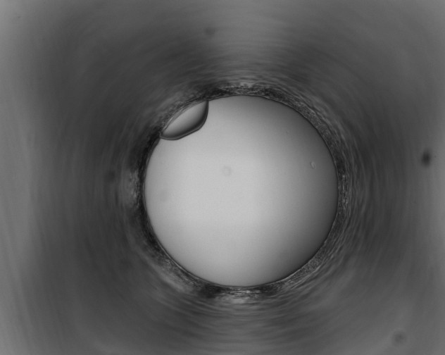 X0000100780563200806191019