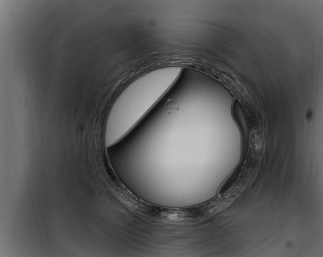 X0000100780564200806191019