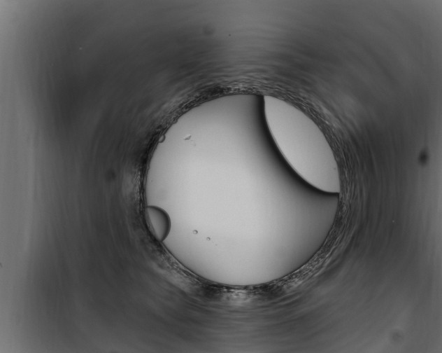 X0000100780565200806191019