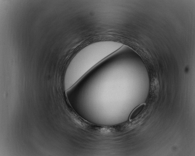 X0000100780566200806191019