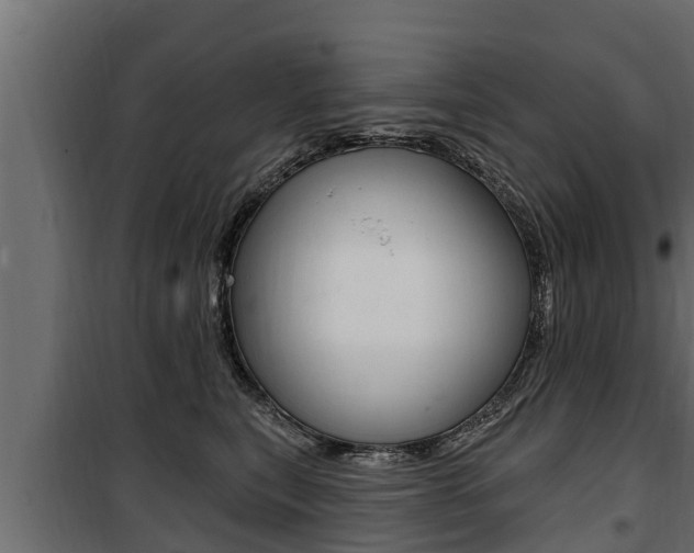 X0000100780567200806191019