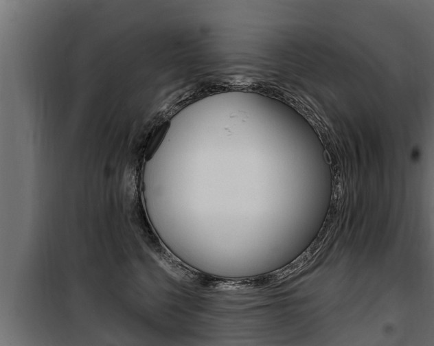 X0000100780568200806191019