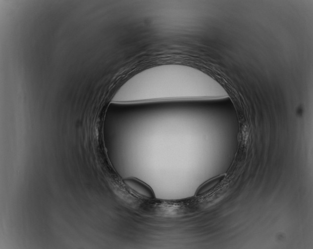 X0000100780570200806191019