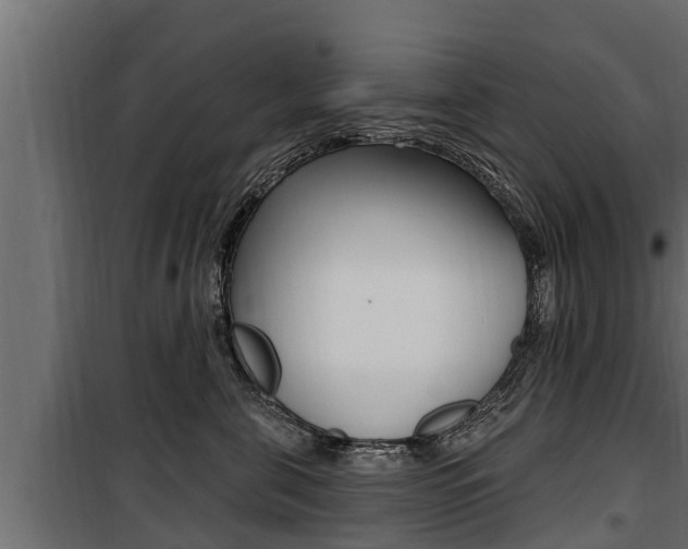 X0000100780571200806191019