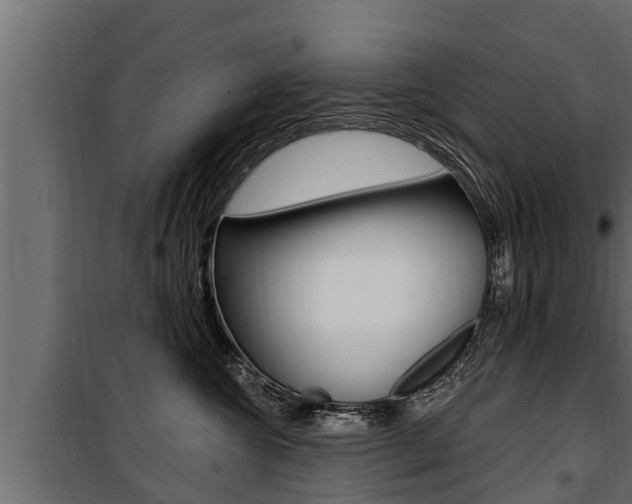 X0000100780572200806191019