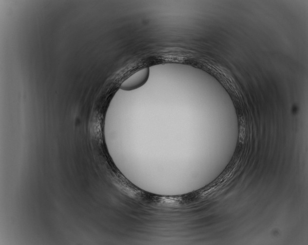 X0000100780573200806191019