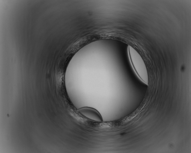 X0000100780574200806191019