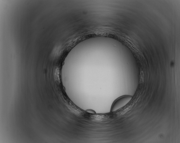 X0000100780575200806191019