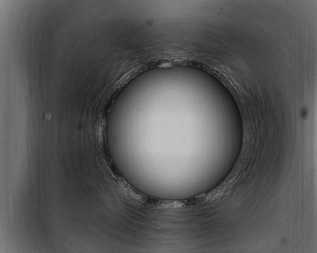 X0000100780576200806191019