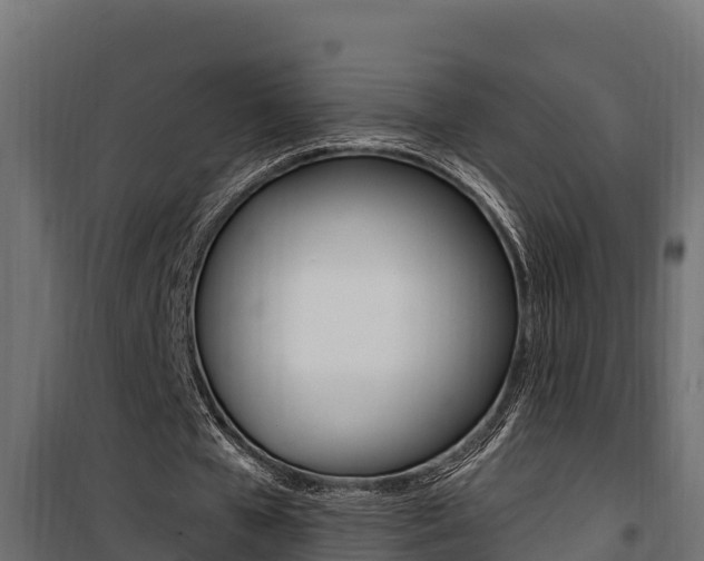 X0000100780577200806191019