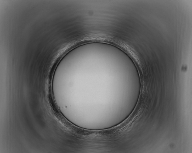 X0000100780578200806191019