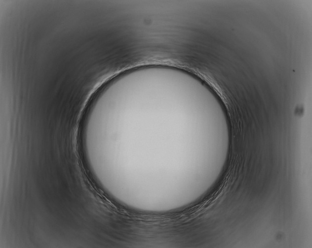 X0000100780579200806191019