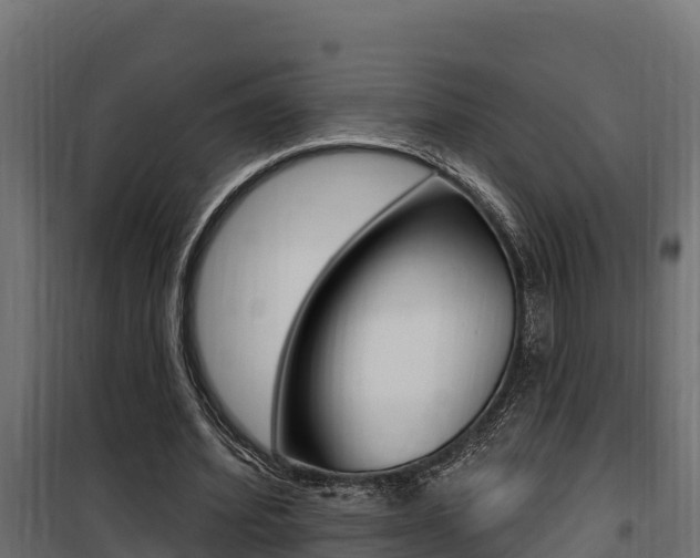 X0000100780580200806191019