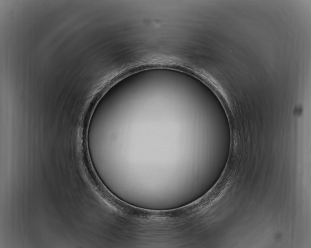 X0000100780581200806191019