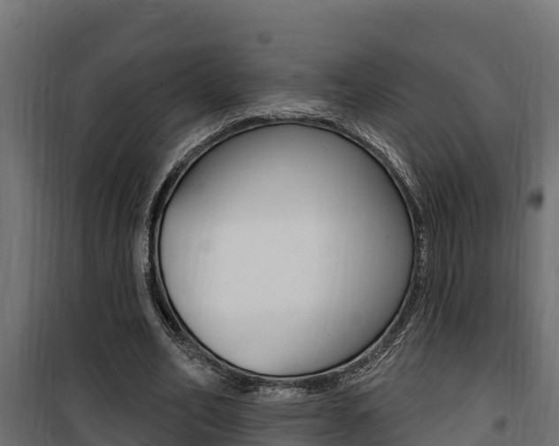 X0000100780582200806191019