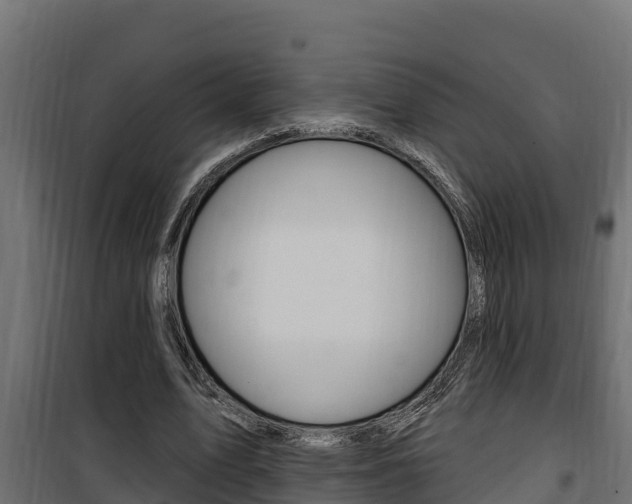 X0000100780583200806191019