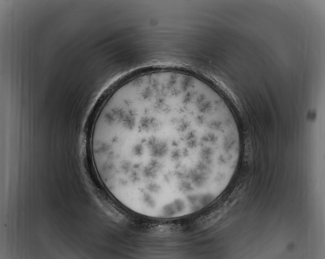 X0000100780584200806191019