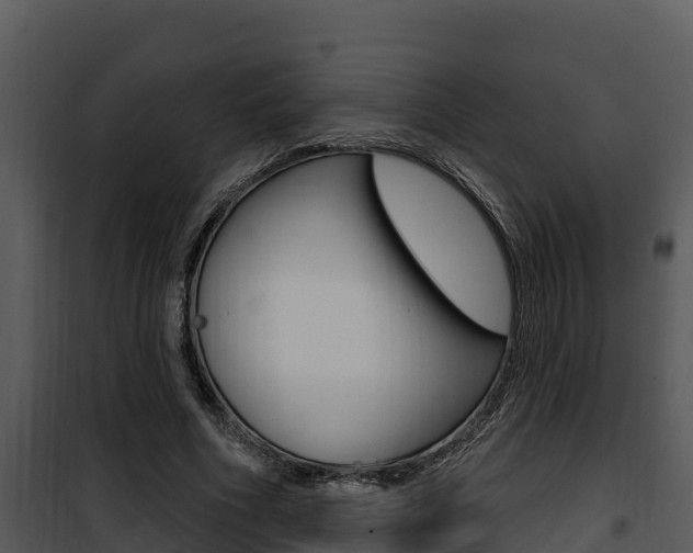 X0000100780586200806191019