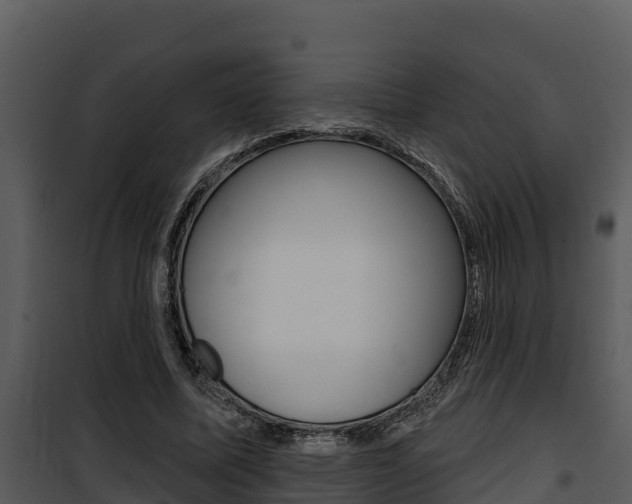 X0000100780587200806191018