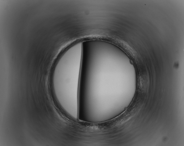 X0000100780588200806191018