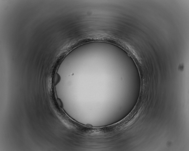 X0000100780589200806191018