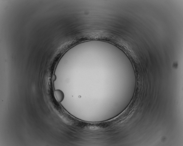 X0000100780590200806191018