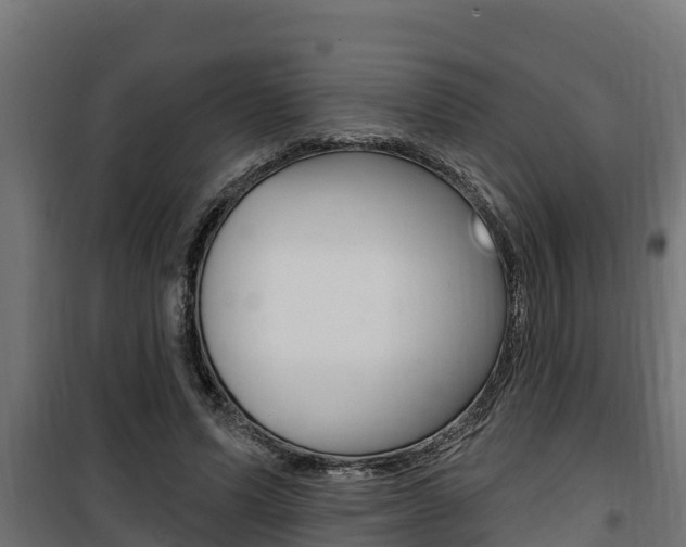 X0000100780591200806191018