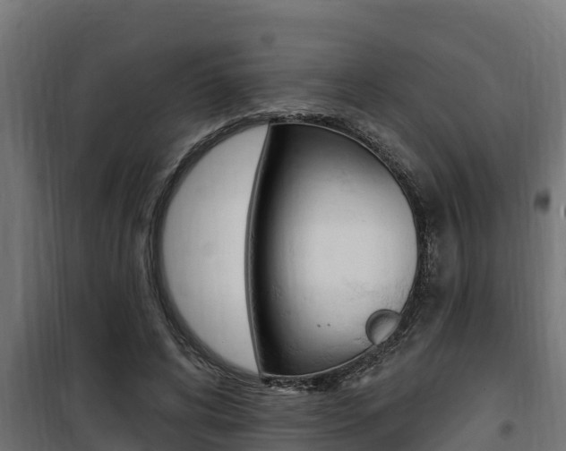 X0000100780592200806191018