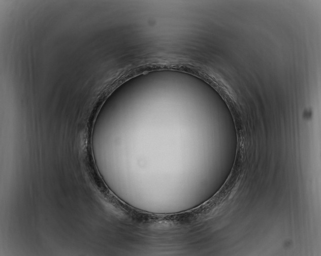 X0000100780593200806191018