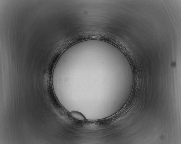 X0000100780594200806191018