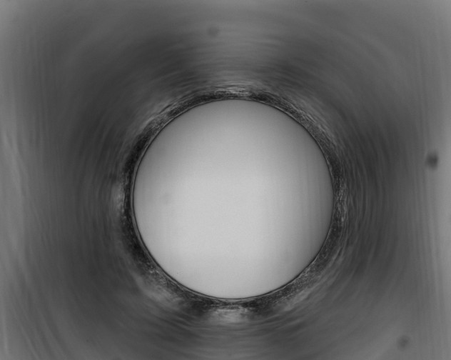 X0000100780595200806191018