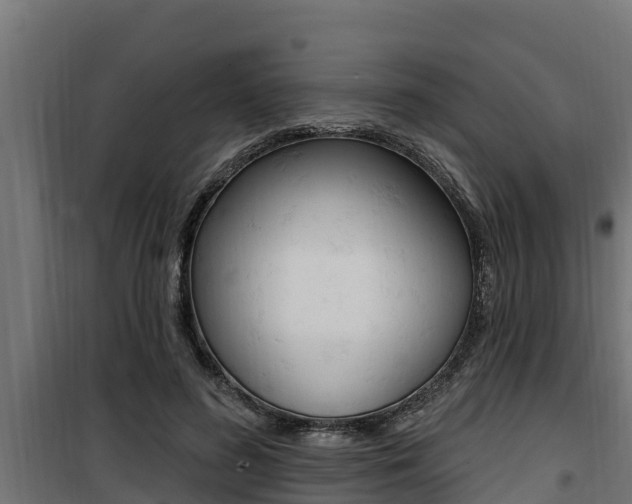 X0000100780596200806191018