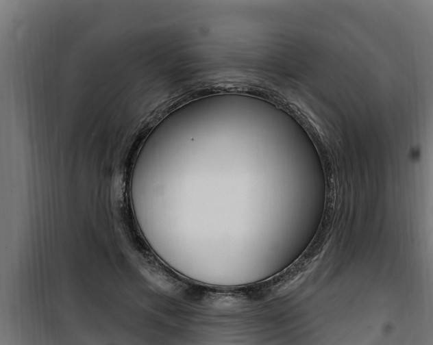 X0000100780597200806191018