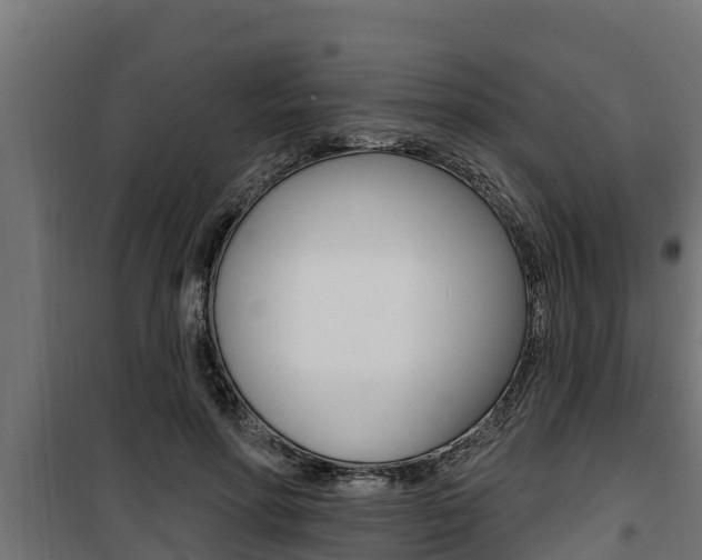 X0000100780598200806191018