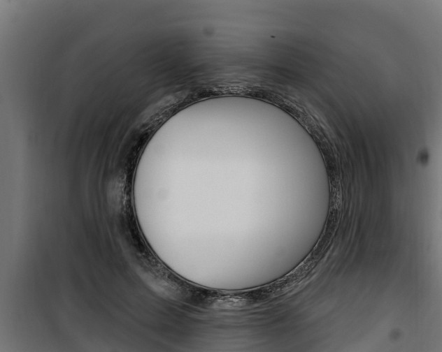 X0000100780599200806191018