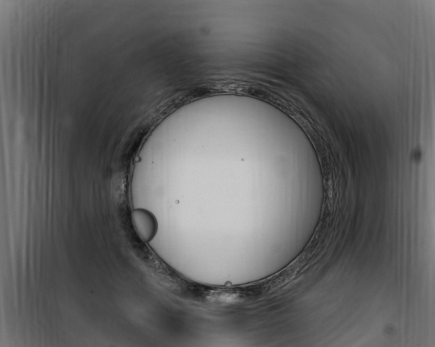 X0000100780602200806191018