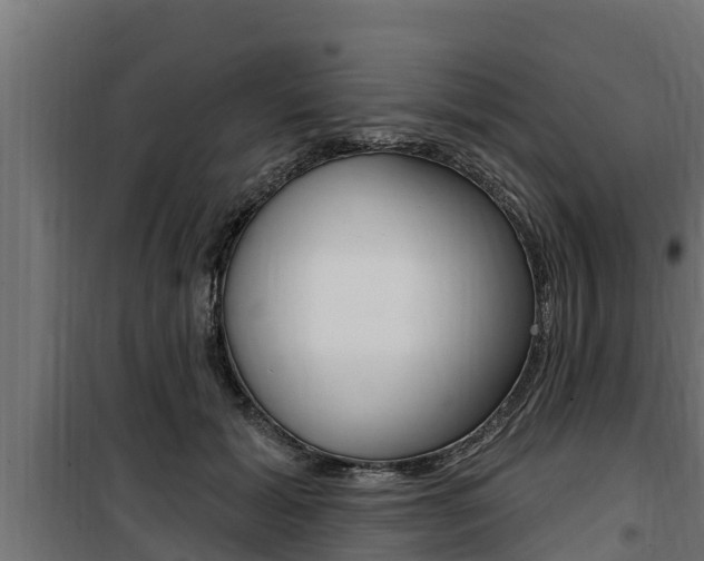 X0000100780605200806191018