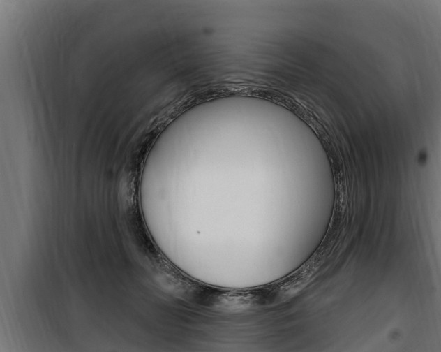 X0000100780606200806191018