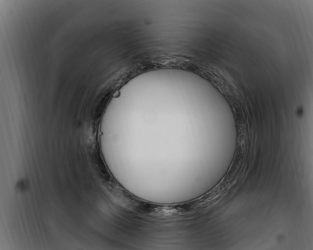 X0000100780607200806191018