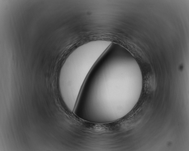 X0000100780608200806191018