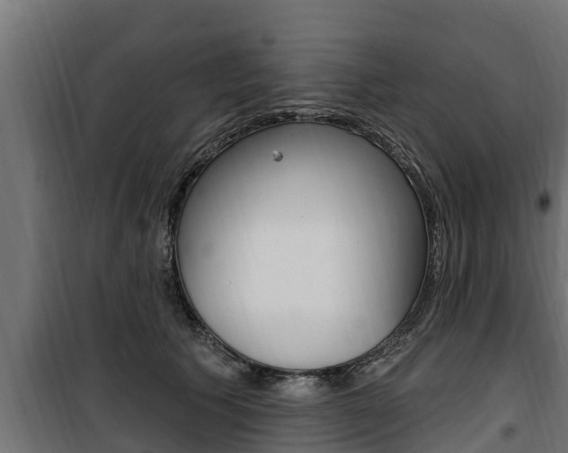 X0000100780609200806191018