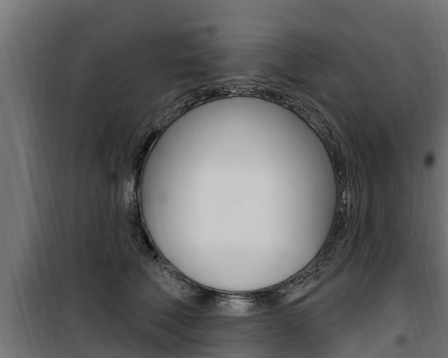 X0000100780610200806191018