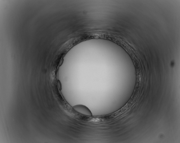 X0000100780611200806191018