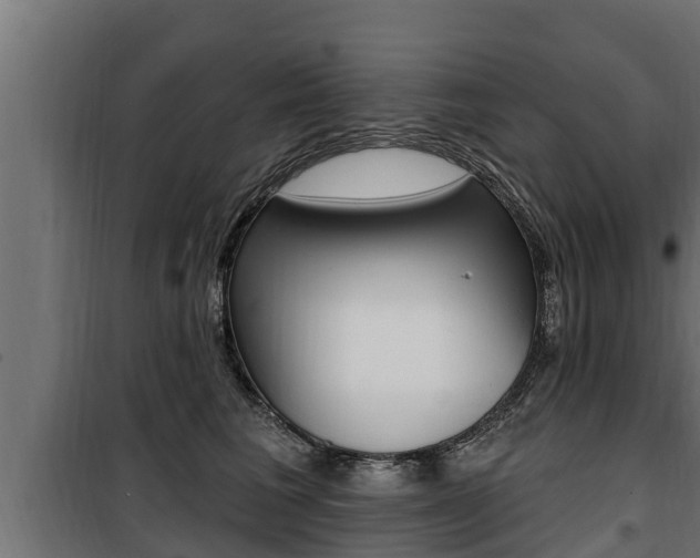 X0000100780613200806191018