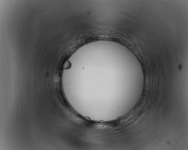 X0000100780614200806191018