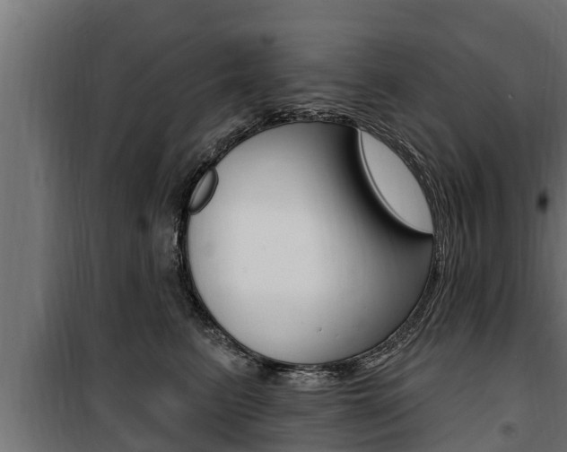 X0000100780615200806191018