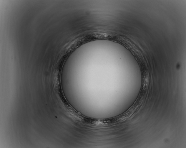 X0000100780616200806191018